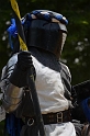 SFaire_2012 (522)